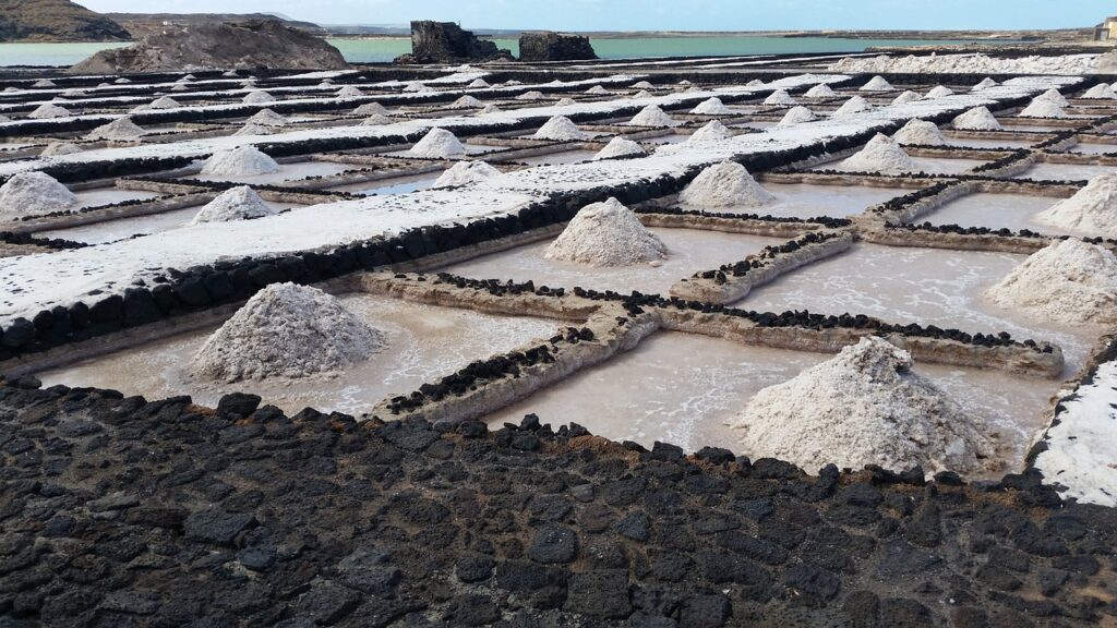 salt farming, salt plantation, salt farm, saline farming, agriculture, salt, landscape, salt plant, salinas de janubio, lanzarote, salt farm, salt farm, salt farm, salt farm, salt farm, salt, salt, salt plant, salt plant, lanzarote, lanzarote, lanzarote