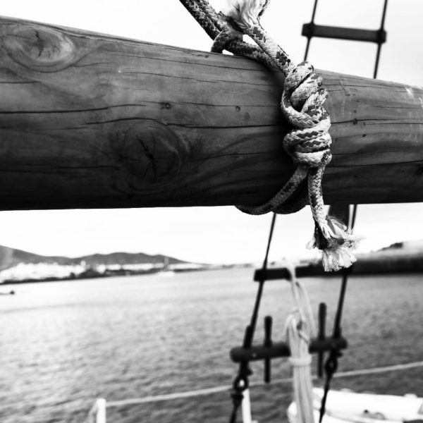 WhatsApp Image 2025-12-09 at 14.52.40