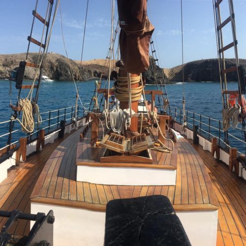 papagayo